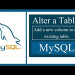 alter table add column mysql after