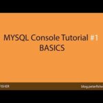 Domina MySQL Console: Cómo usar MySQL Console adecuadamente