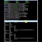 Configuración del archivo MySQL: Cómo editar el archivo de configuración