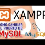 Guía fácil: Cambiar puerto de MySQL en XAMPP