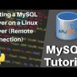 Cómo conectar al host con MySQL CLI