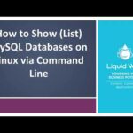 Guía de comandos: MySQL Show Databases en Ubuntu