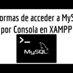 Cómo entrar a MySQL desde consola en XAMPP Linux