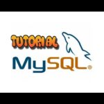 Procedimientos Almacenados MySQL Workbench: Optimiza tus consultas