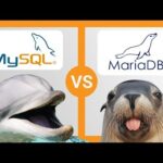 Mariadb Vs Mysql Server: ¿Cuál es la mejor opción de base de datos?