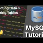 Mejora tu gestión de bases de datos con MySQL Admin Tool
