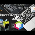 Cómo Retornar el ID Insert en MySQL