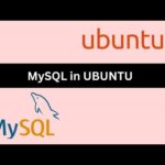 Reiniciar MySQL en Ubuntu: Guía Paso a Paso