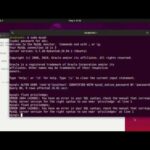 Cómo instalar MySQL en Ubuntu 18.04