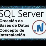Crear base de datos en MySQL con collation