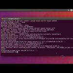 Reiniciar MySQL en Ubuntu 16.04: Guía paso a paso