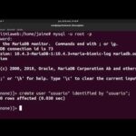 Cómo crear un usuario en MySQL en Ubuntu