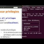Cómo revocar los privilegios en la base de datos MySQL