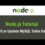 Actualización de MySQL con Node.js