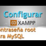 Seguridad en XAMPP: Cómo proteger tu MySQL con username y password