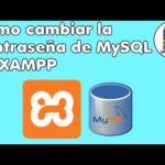 XAMPP: Cómo cambiar la contraseña de MySQL