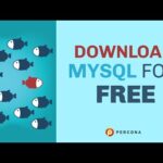 Percona MySQL Proxy: la solución inteligente para tus consultas