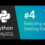Conoce la función fetchall en Python para consultas MySQL