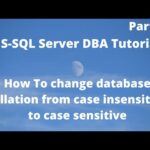 Guía para manejar MySQL case sensitive