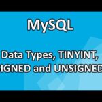 Guía de tinyint unsigned en MySQL: Ejemplos y Consejos