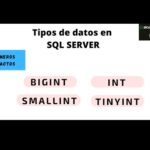 MySQL Boolean vs Tinyint: ¿Cuál es la mejor opción?