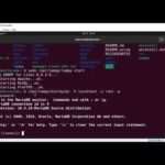 XAMPP MySQL Command Line: How to Use It