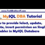 Permisos MySQL: Concede SELECT en todas las tablas