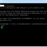export mysql database command line linux
