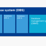Tipos de bases de datos en MySQL: Una guía completa