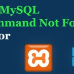 Solución: bash mysql command not found