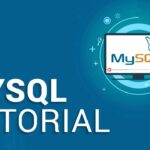 Where to Use MySQL: A Guide for Beginners - Learn the Basics of MySQL
