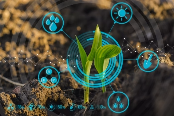¿Qué es la base de datos Agricola?