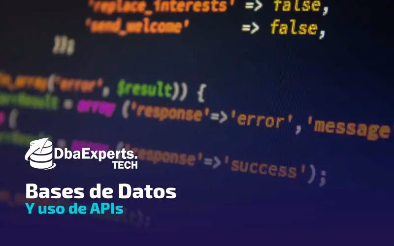 ¿Cómo guardar datos de la API en la base de datos?