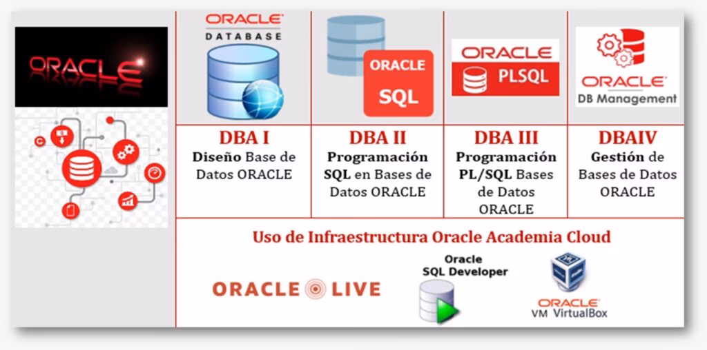 ¿Cuántos días para aprender Oracle?