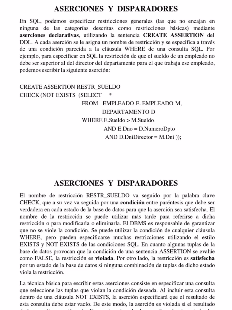 ¿Qué es una aserción en una base de datos?