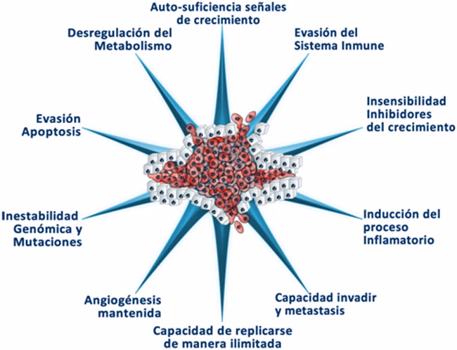 ¿Qué tipo de base de datos se utiliza en dispositivos móviles?