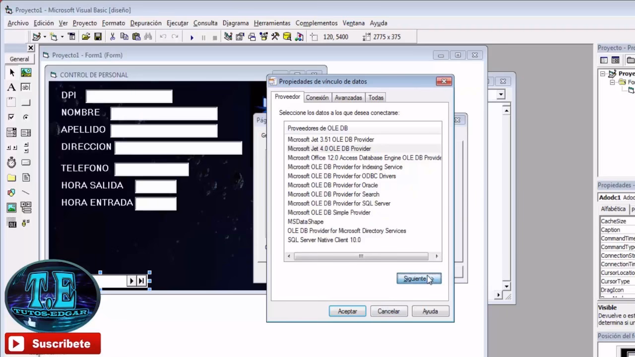¿Qué es Visual Basic en Access?