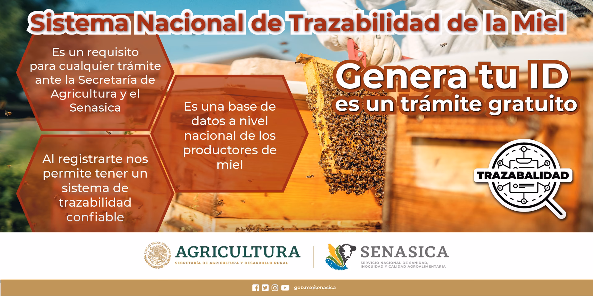 ¿Cómo obtener el cufe?