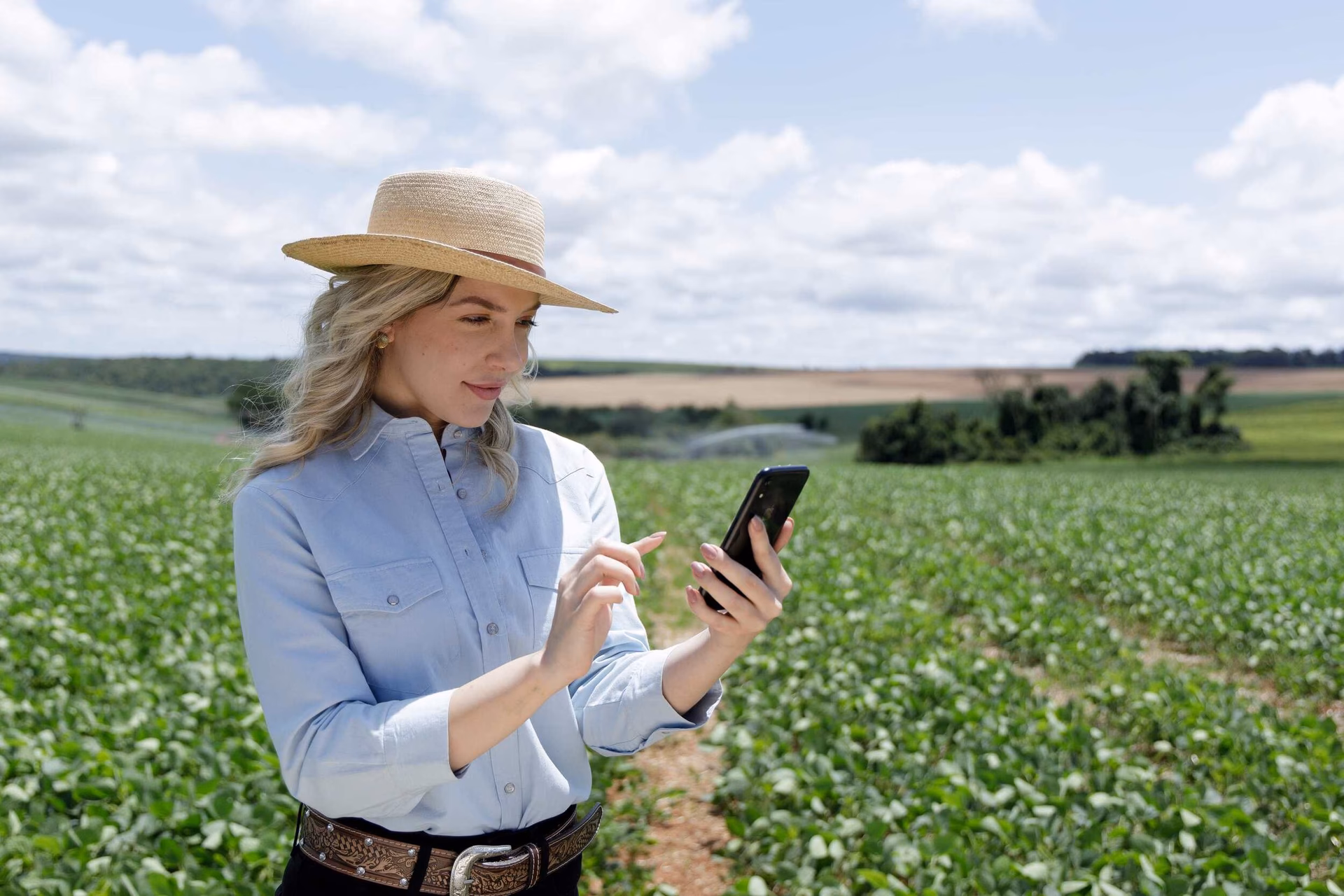 ¿Qué es una base de datos agrícola?