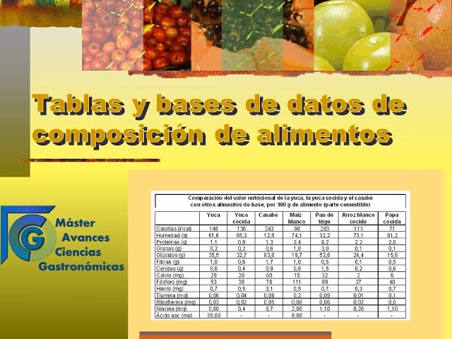 ¿Cuál es la base de la gastronomía?