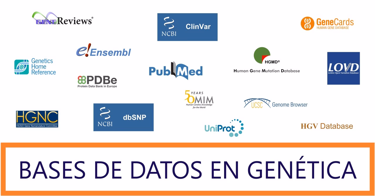 ¿Qué son las bases genéticas?