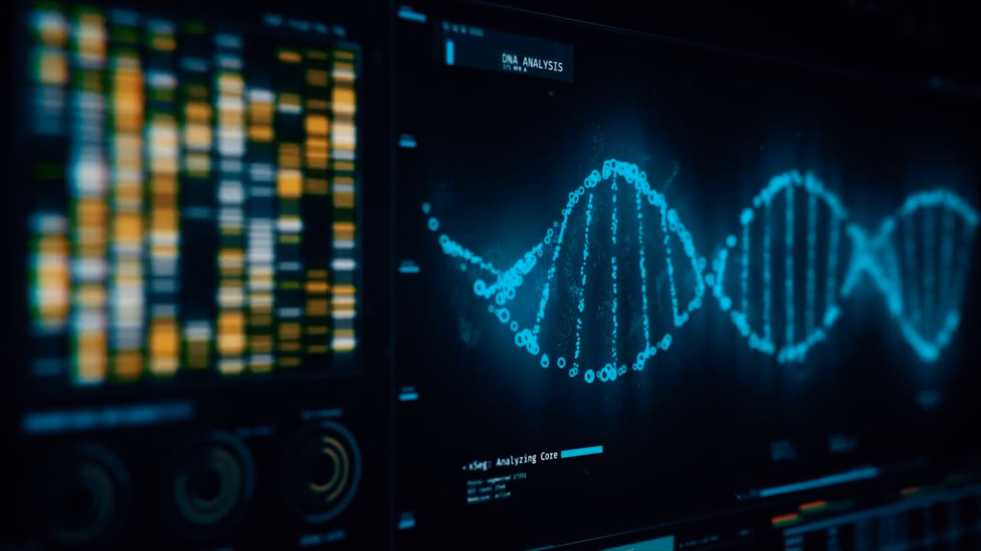¿Qué es una base de datos en genética?