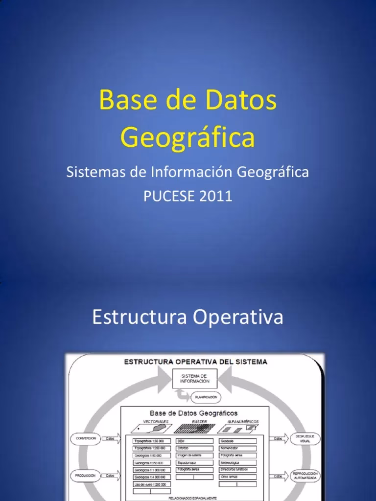 ¿Cuáles son las características de los datos geográficos?