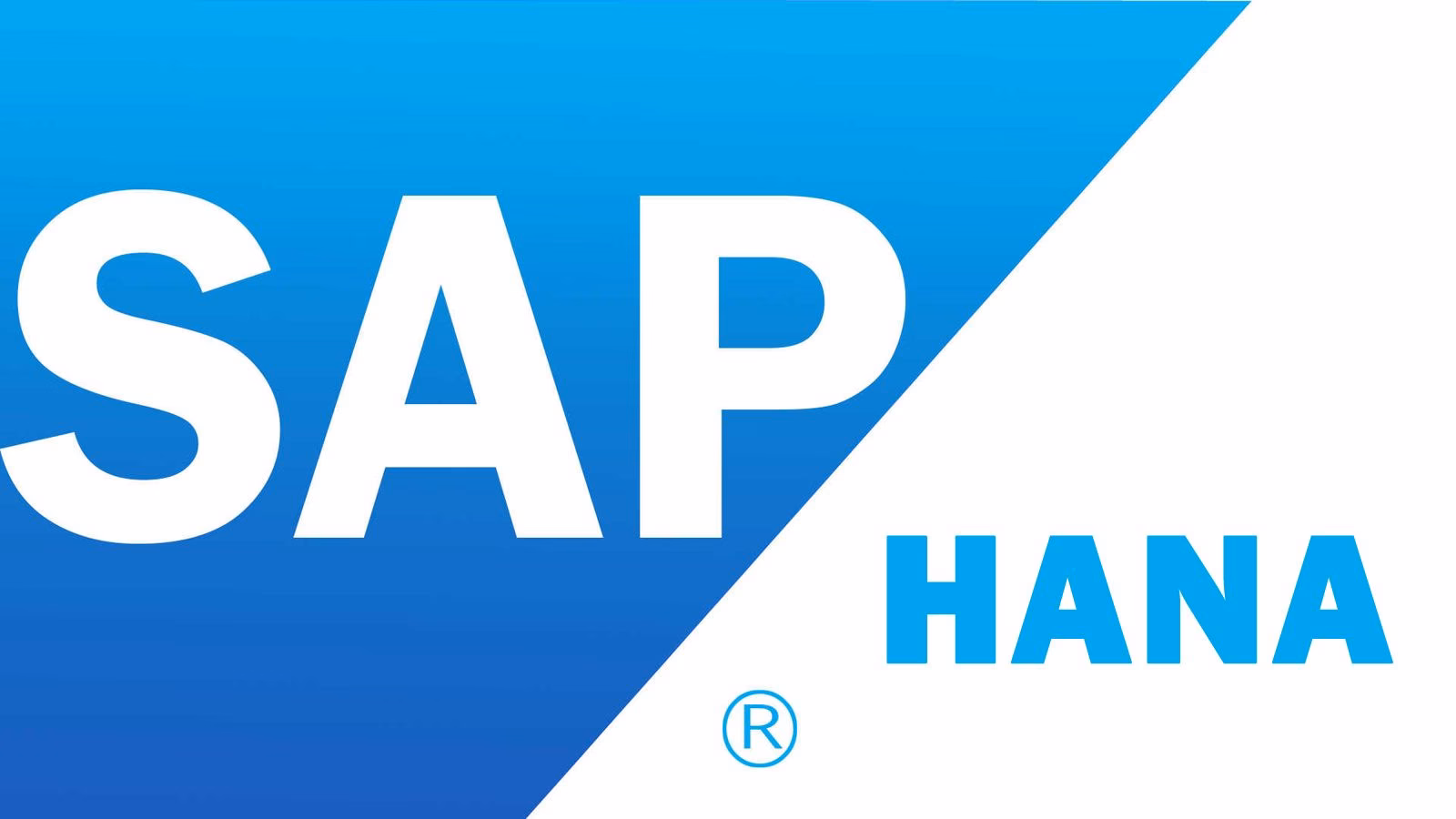 ¿Qué tipo de base de datos es HANA?