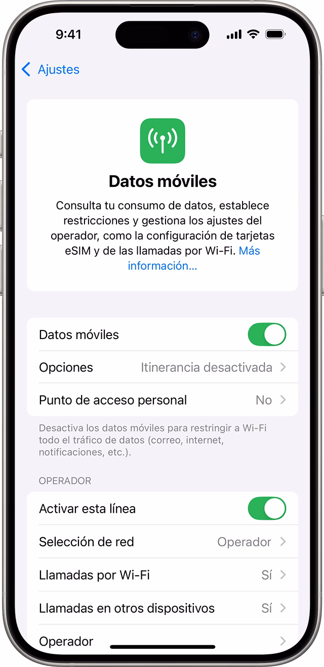 ¿El iPhone tiene una base de datos?