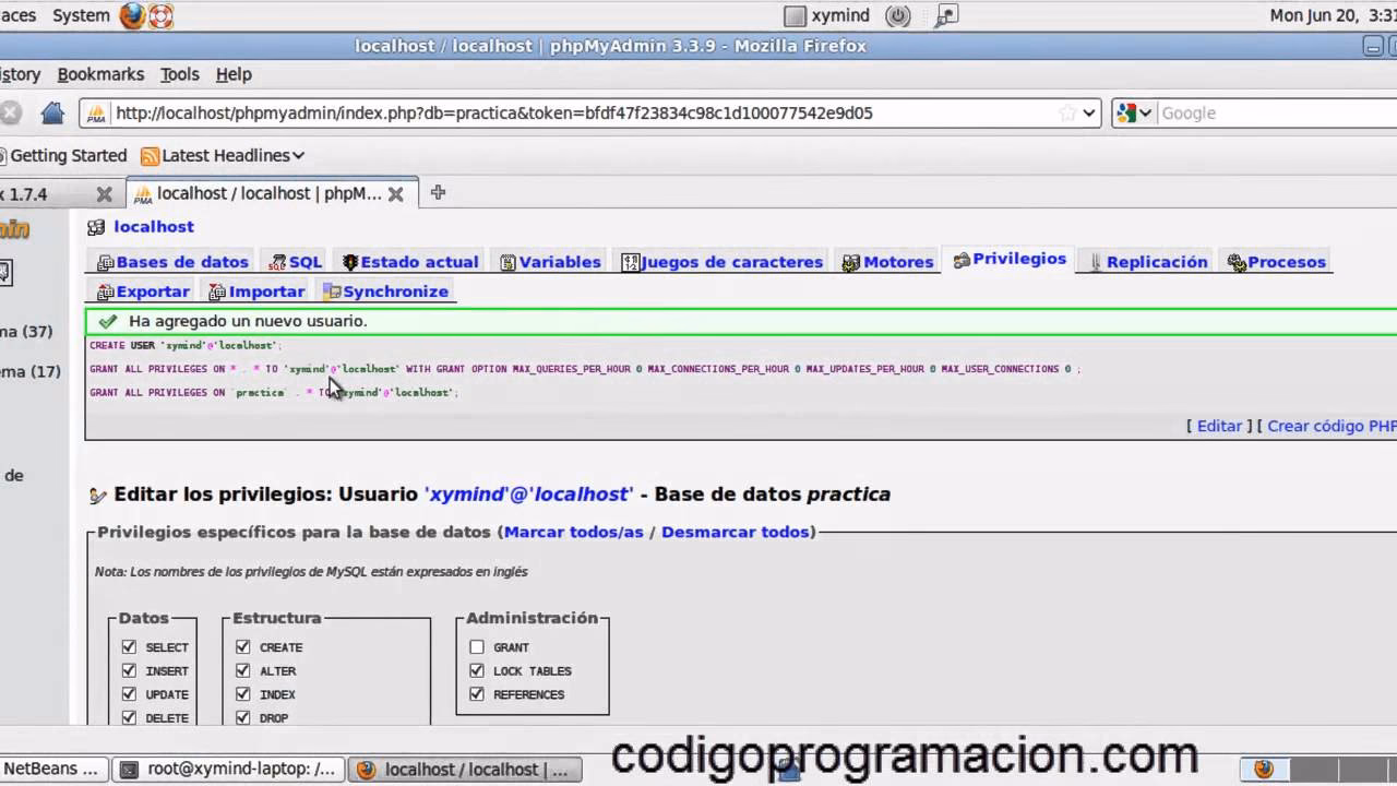 ¿Qué son las bases de datos con PHP y MySQL?