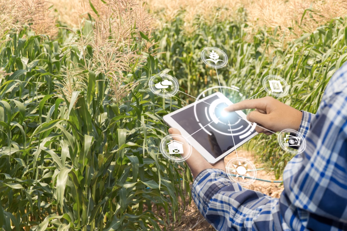 ¿Cuáles son los productores agropecuarios?