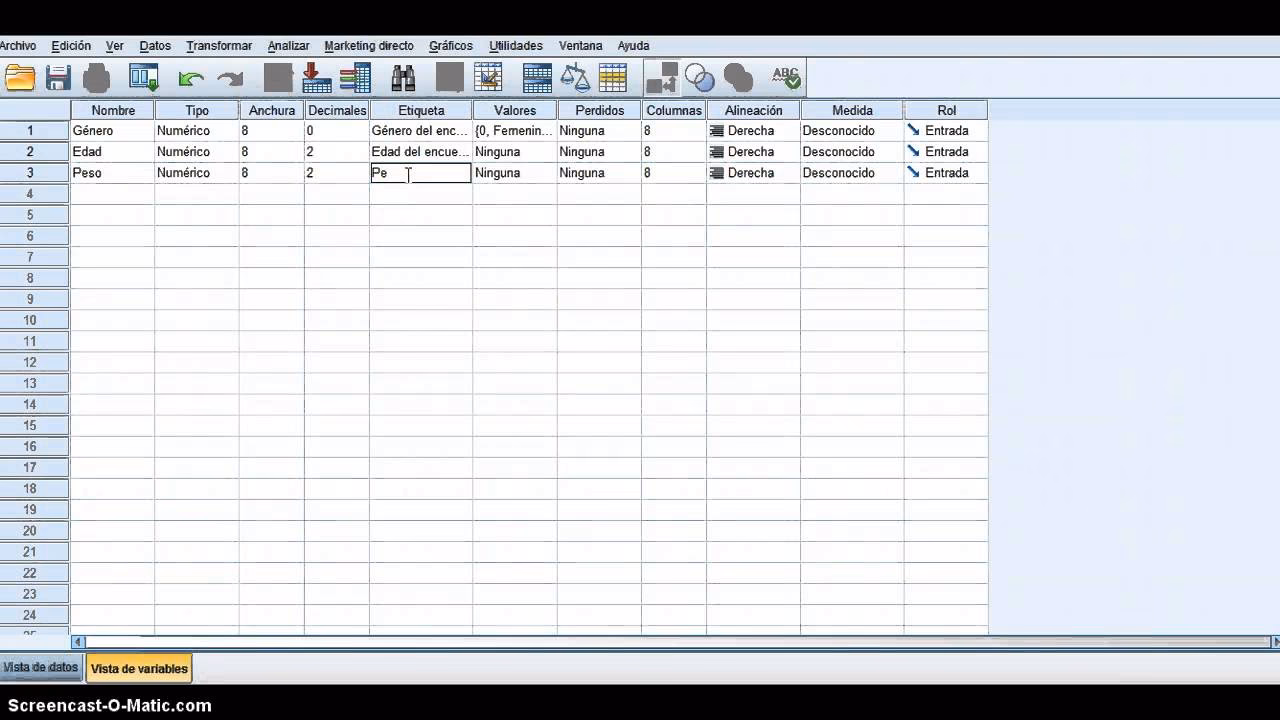 ¿Cuál es la diferencia entre Excel y SPSS?