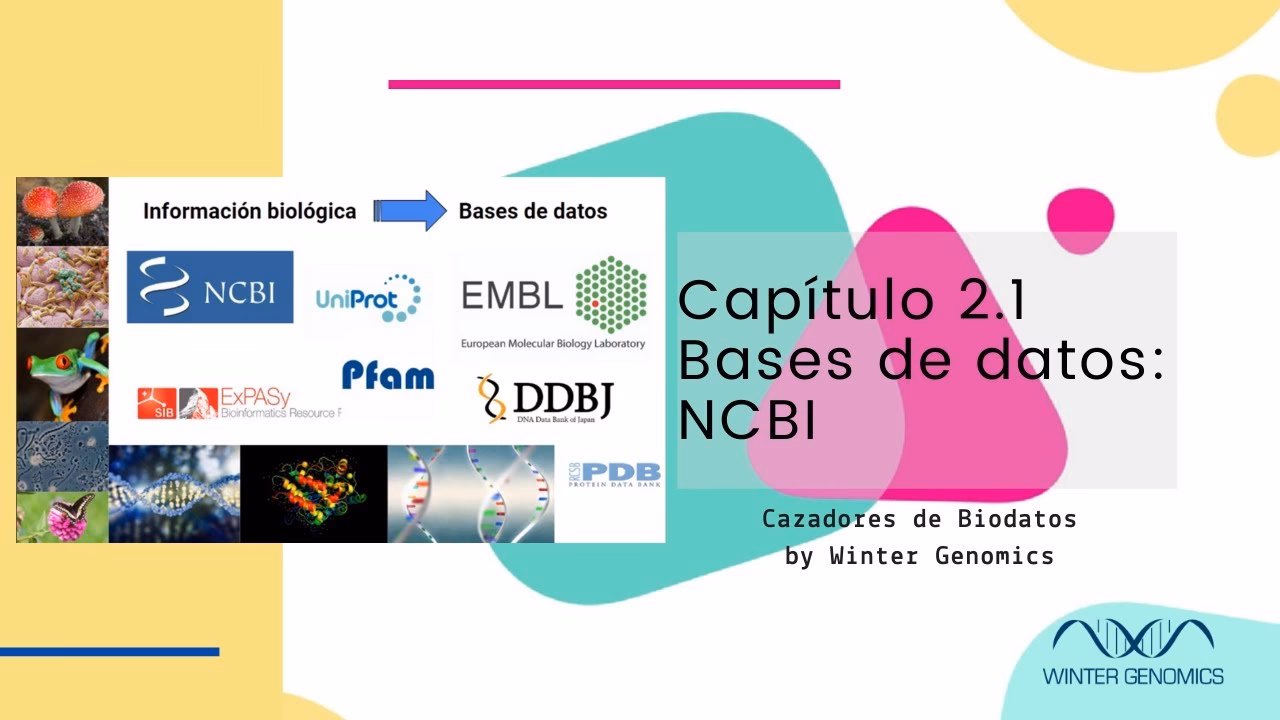 ¿Qué es una base de datos bioinformática?