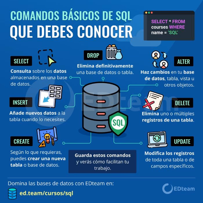 ¿Cuáles son los comandos DDL y DML?